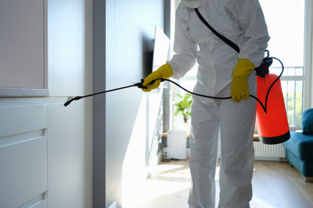 Best Commercial Mold Removal  in Germantown, IL